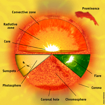 Cutaway of the Sun
