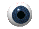 a moving eyeball