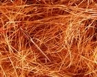 A needle in a haystack