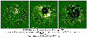 Shock wave across the sun