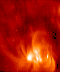 Loops on the sun